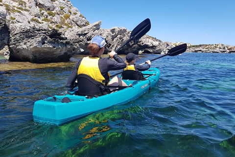 Rottnest Glass Bottom Kayaking Tour - Accommodation Newcastle 4