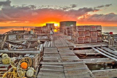 Abrolhos Islands 3 Day Fishing Charter - Accommodation Newcastle 5