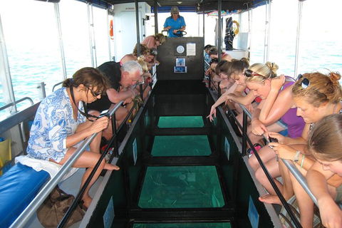 Coral Bay 1-Hour Coral Viewing - Accommodation Newcastle 3