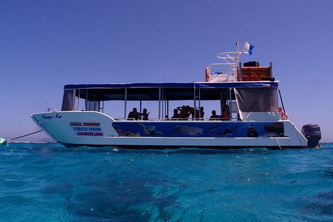Coral Bay 1-Hour Coral Viewing - Accommodation Newcastle 1