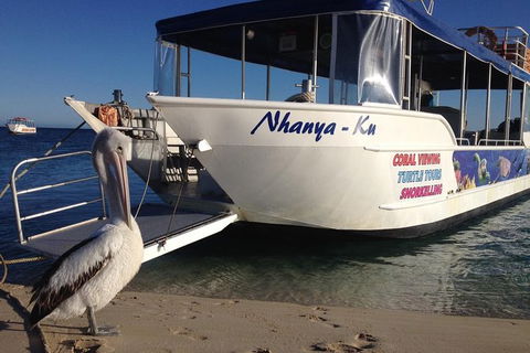 Coral Bay 1-Hour Coral Viewing - Accommodation Newcastle 0