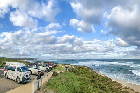 Full-Day Tour In Margaret River: Wine, Coffee, Cheese - Accommodation Newcastle 2