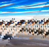Broome Pre-sunset Camel Tour 30 minutes - Accommodation Newcastle