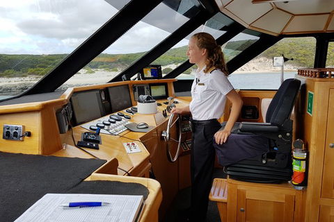 Full-Day Killer Whale Expedition From Albany - Accommodation Newcastle 4