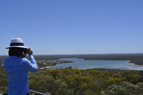 Full-Day Killer Whale Expedition From Albany - Accommodation Newcastle 5