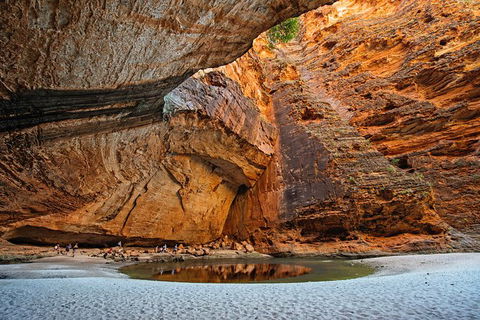 Bungle Bungle Explorer - Accommodation Newcastle 3