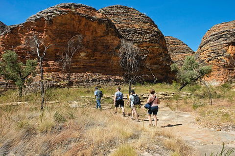 Bungle Bungle Explorer - Accommodation Newcastle 0