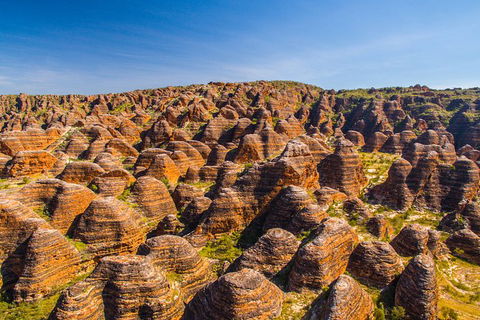 Bungle Bungle Explorer - Accommodation Newcastle 1