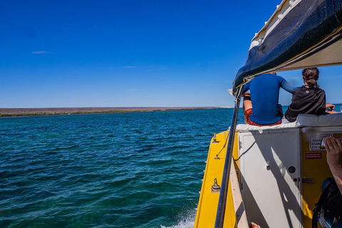 Ningaloo Immersion Private Charter - Accommodation Newcastle 0