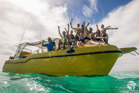 Ningaloo Immersion Private Charter - Accommodation Newcastle 9