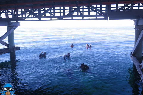 PADI Open Water Course - Accommodation Newcastle 3