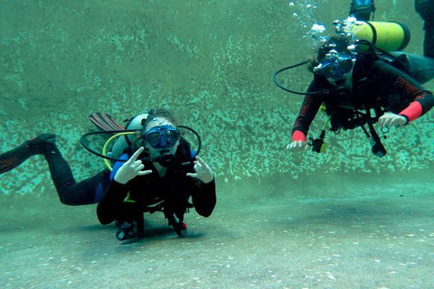 PADI Open Water Course - Accommodation Newcastle 4