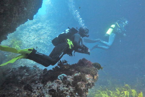 PADI Open Water Course - Accommodation Newcastle 2