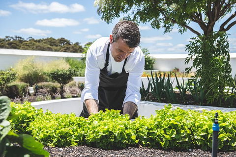 Voyager Estate: Voyager Unearthed & Cheeseboard - Accommodation Newcastle 3