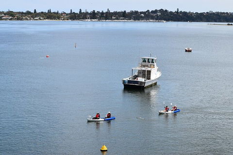 Cliffs And Caves Kayak Tour In Swan River - Accommodation Newcastle 5