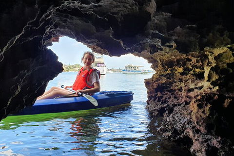 Cliffs And Caves Kayak Tour In Swan River - Accommodation Newcastle 3