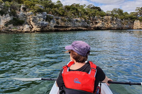 Cliffs And Caves Kayak Tour In Swan River - Accommodation Newcastle 1