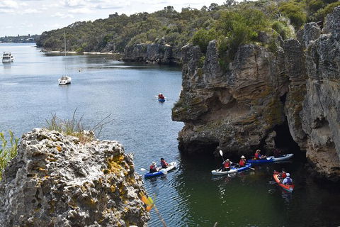Cliffs And Caves Kayak Tour In Swan River - Accommodation Newcastle 2