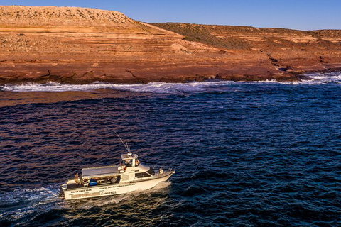 Kalbarri Sunset Coastal Cliff Cruise - Accommodation Newcastle 3
