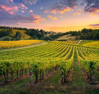 Swan Valley Sunset Wine Tour - Premium Small Group Tour - Accommodation Newcastle