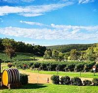 Bickley Valley Wine  Cider Tour - Premium Small Group Tour - Accommodation Newcastle