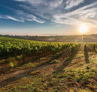 Perth to Margaret River Wine Tour - 2 Day Premium Boutique Wine Tour Experience - Accommodation Newcastle