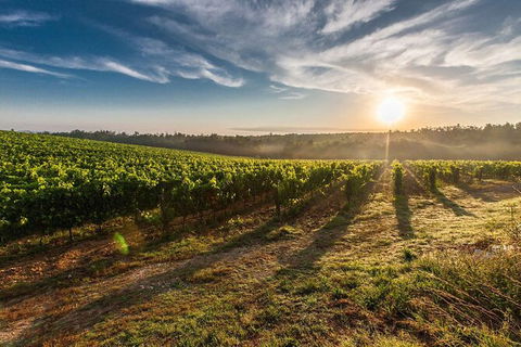 Perth To Margaret River Wine Tour - 2 Day Premium Boutique Wine Tour Experience - Accommodation Newcastle 0