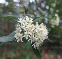 Booderee National Park - Accommodation Newcastle
