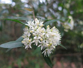 Booderee National Park - Accommodation Newcastle 0