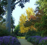 Albury Botanic Garden - Accommodation Newcastle