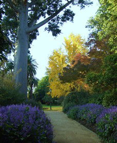 Albury Botanic Garden - Accommodation Newcastle 0