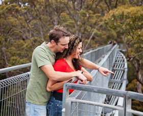 Valley Of The Giants Tree Top Walk - Accommodation Newcastle 0