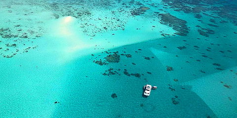 Ocean Free & Ocean Freedom - Cairns Premier Reef And Island Tours - Accommodation Newcastle 3