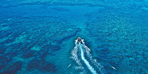 Ocean Free & Ocean Freedom - Cairns Premier Reef And Island Tours - Accommodation Newcastle 4