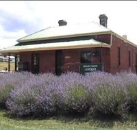 Lavender House in Railway Park - Accommodation Newcastle