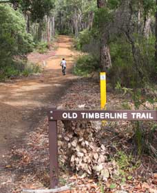 Old Timberline And Sidings Rail Trails - Accommodation Newcastle 0