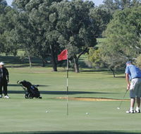 Spalding Park - Accommodation Newcastle