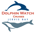 Dolphin Watch Cruises - Accommodation Newcastle 2