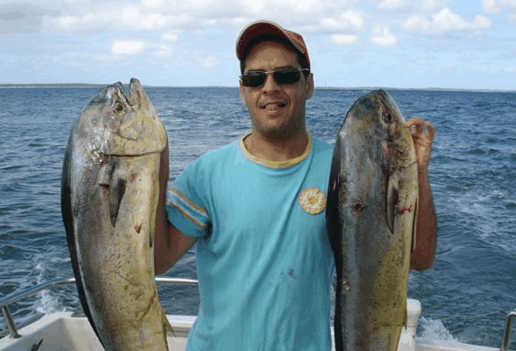 Jervis Bay Fishing And Charters - Accommodation Newcastle 0