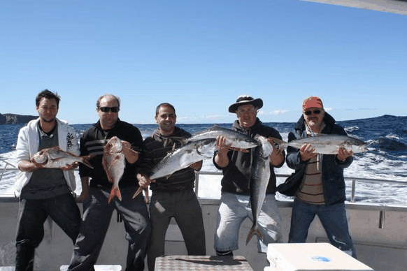 Jervis Bay Fishing And Charters - Accommodation Newcastle 2