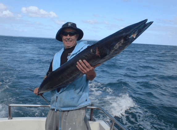 Jervis Bay Fishing And Charters - Accommodation Newcastle 4
