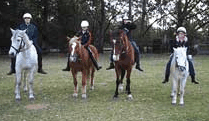 Valhalla Horse Riding - thumb 1