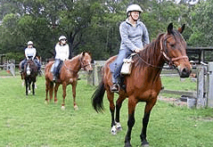 Valhalla Horse Riding - thumb 2
