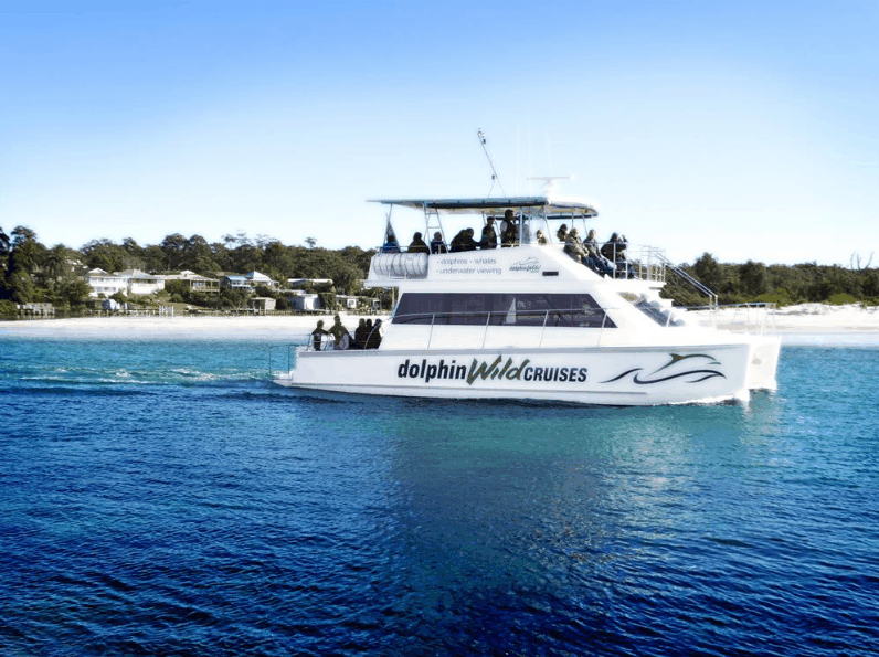 Dolphin Wild Cruises - Accommodation Newcastle 1