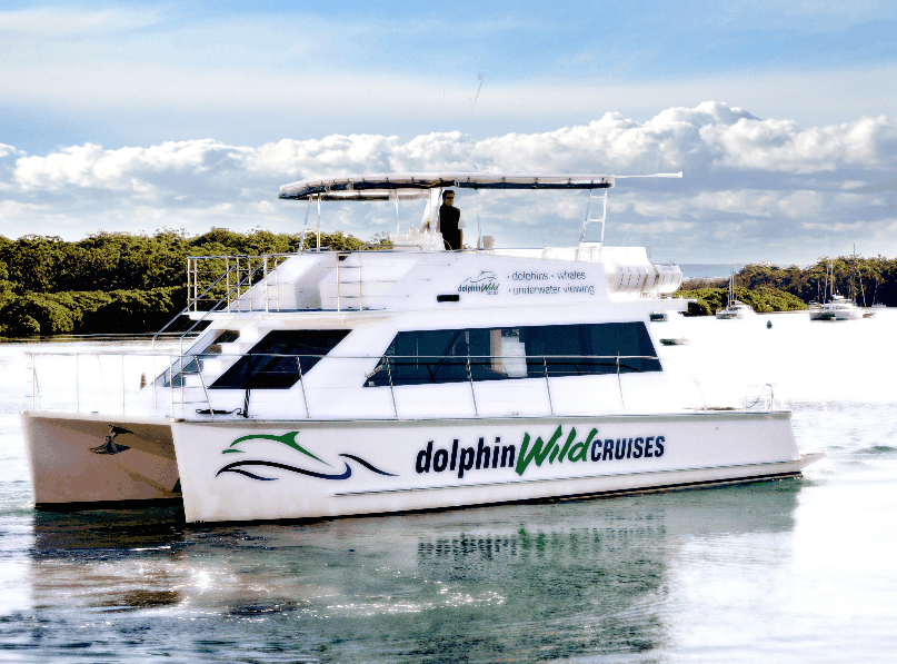 Dolphin Wild Cruises - Accommodation Newcastle 2