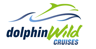Dolphin Wild Cruises - Accommodation Newcastle 4