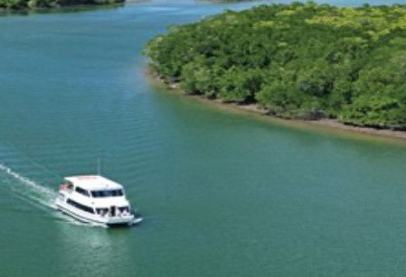 Cairns Harbour Cruises - Accommodation Newcastle 3