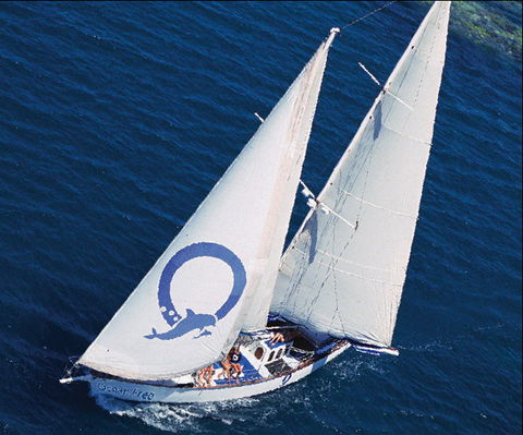 Ocean Free & Ocean Freedom - Cairns Premier Reef And Island Tours - Accommodation Newcastle 0
