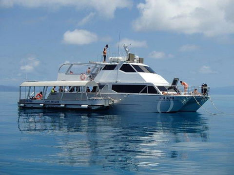 Ocean Free & Ocean Freedom - Cairns Premier Reef And Island Tours - Accommodation Newcastle 1
