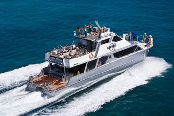 Ocean Free & Ocean Freedom - Cairns Premier Reef And Island Tours - Accommodation Newcastle 2